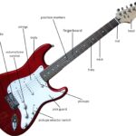 Fender-style guitar diagram with labeled parts showing where each guitar component is located